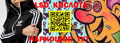 прущие крисы Камышлов