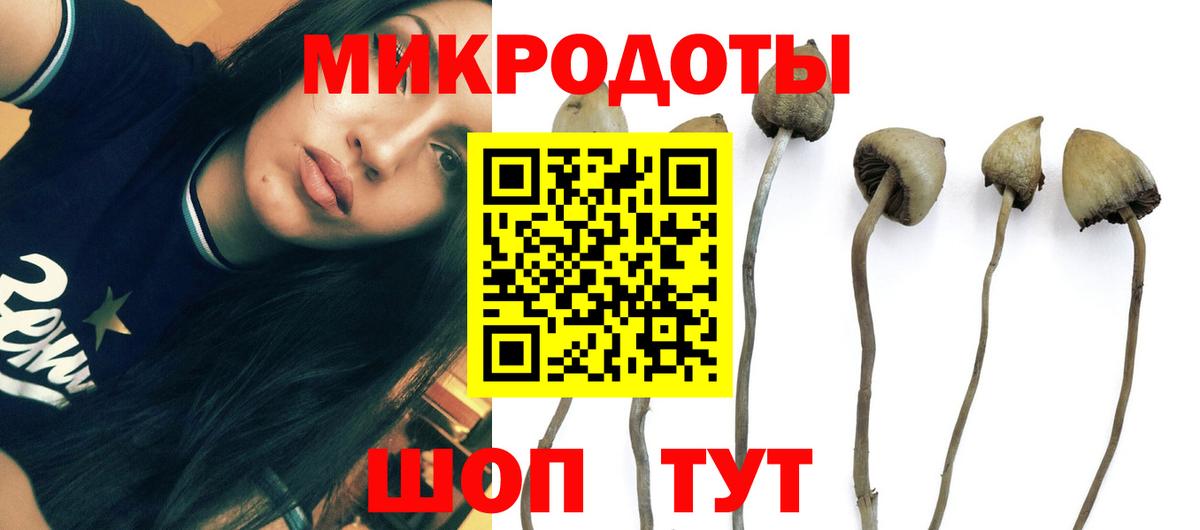 Урус-Мартан  цена наркотик  Галлюциногенные грибы MAGIC MUSHROOMS  Вход с VPN  Псилоцибиновые грибы мицелий 