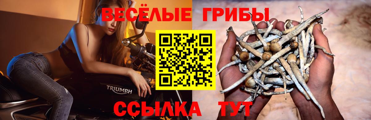 Галлюциногенные грибы GOLDEN TEACHER Урус-Мартан